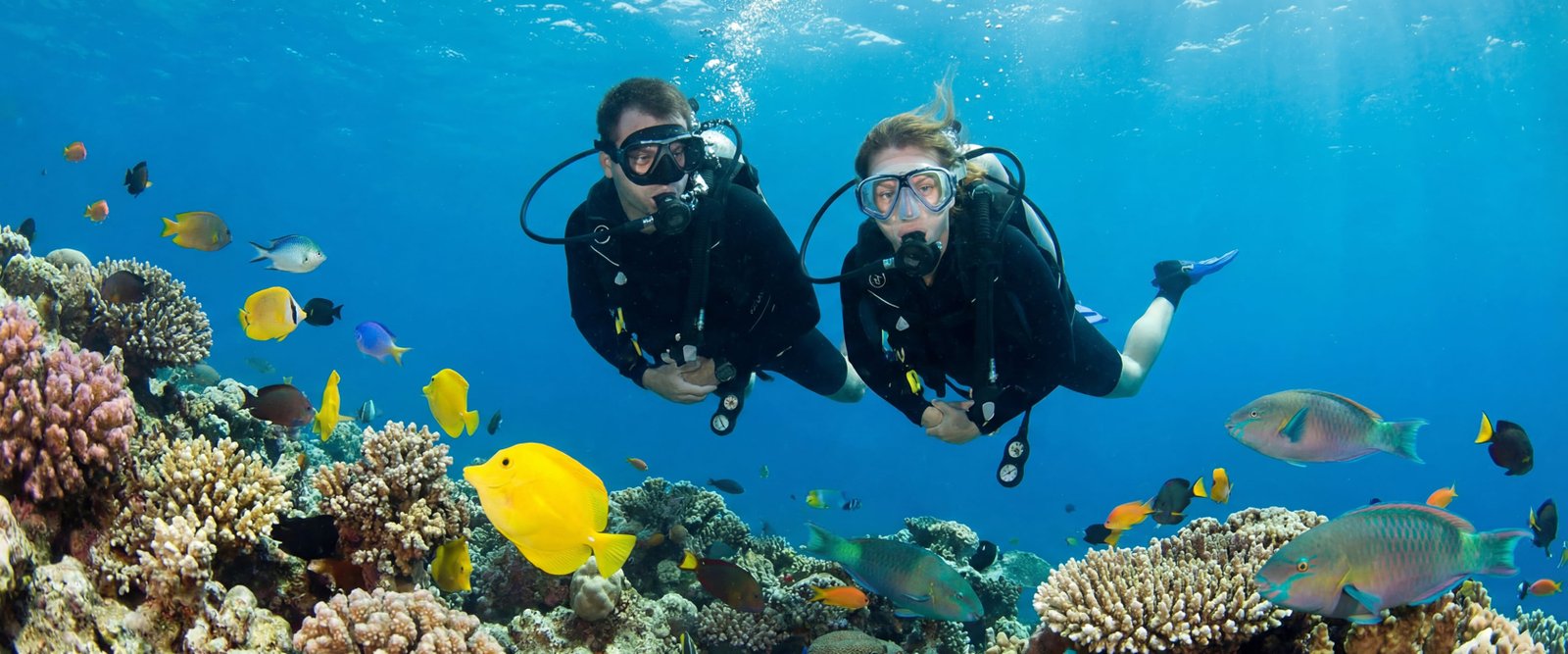 diving-sl-1@2x