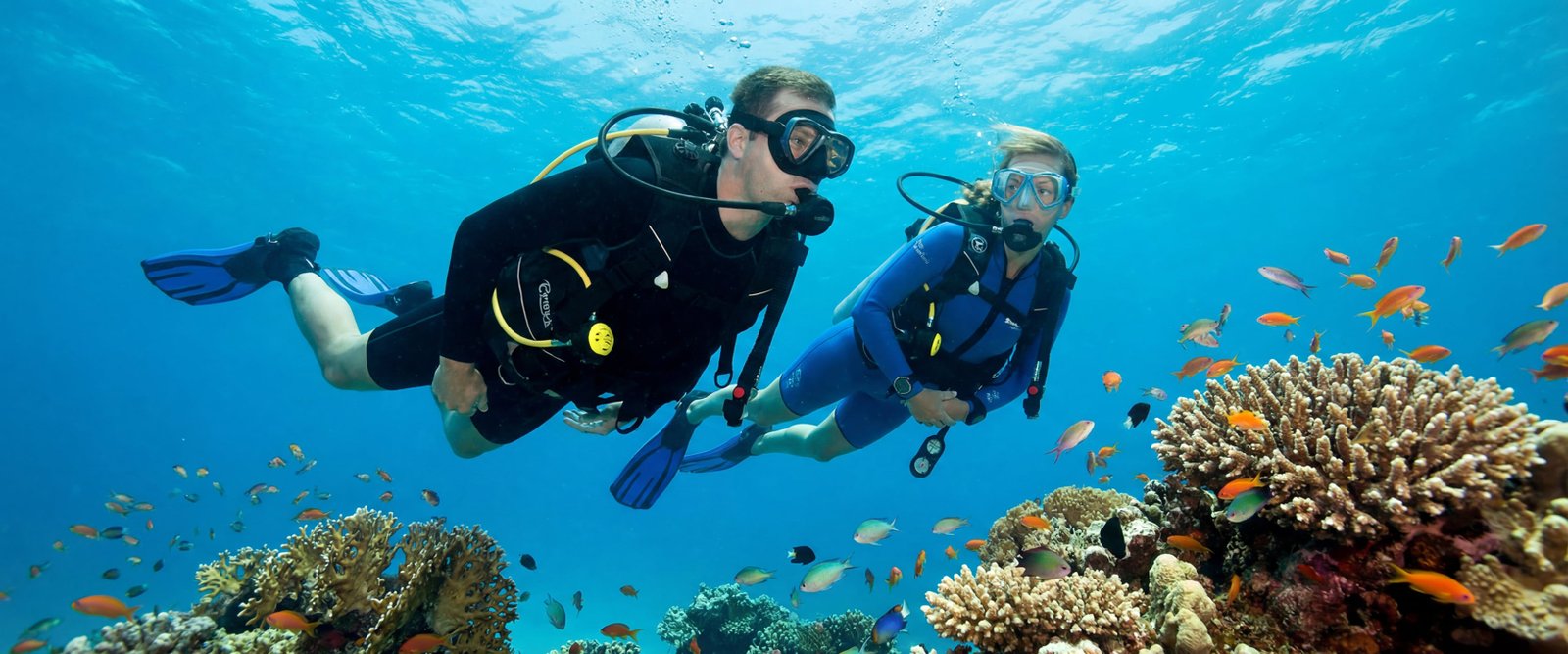 diving-sl-2@2x